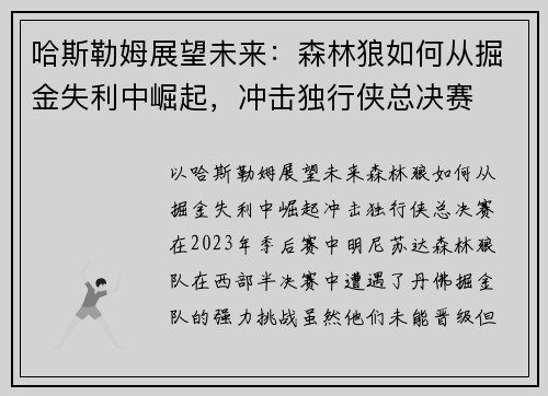 哈斯勒姆展望未来：森林狼如何从掘金失利中崛起，冲击独行侠总决赛