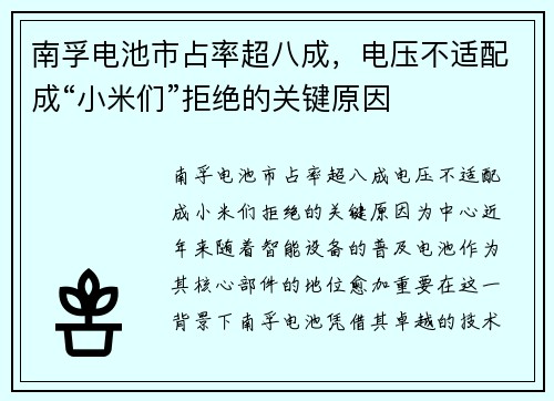 南孚电池市占率超八成，电压不适配成“小米们”拒绝的关键原因