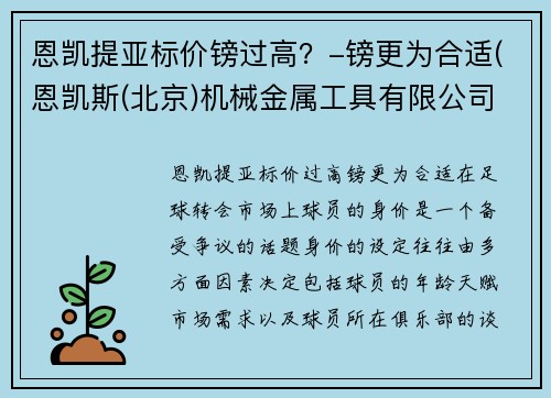 恩凯提亚标价镑过高？-镑更为合适(恩凯斯(北京)机械金属工具有限公司)